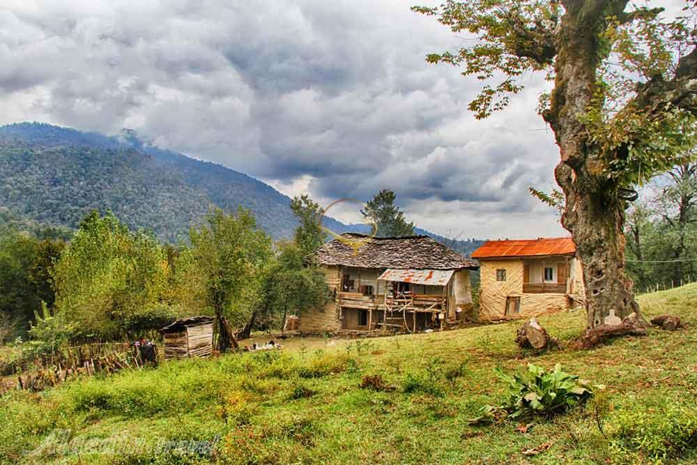 تور اکوسافاری جنگلی؛ صدای پای آب | علاءالدین