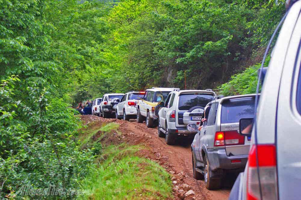 تور اکوسافاری جنگلی؛ صدای پای آب | علاءالدین