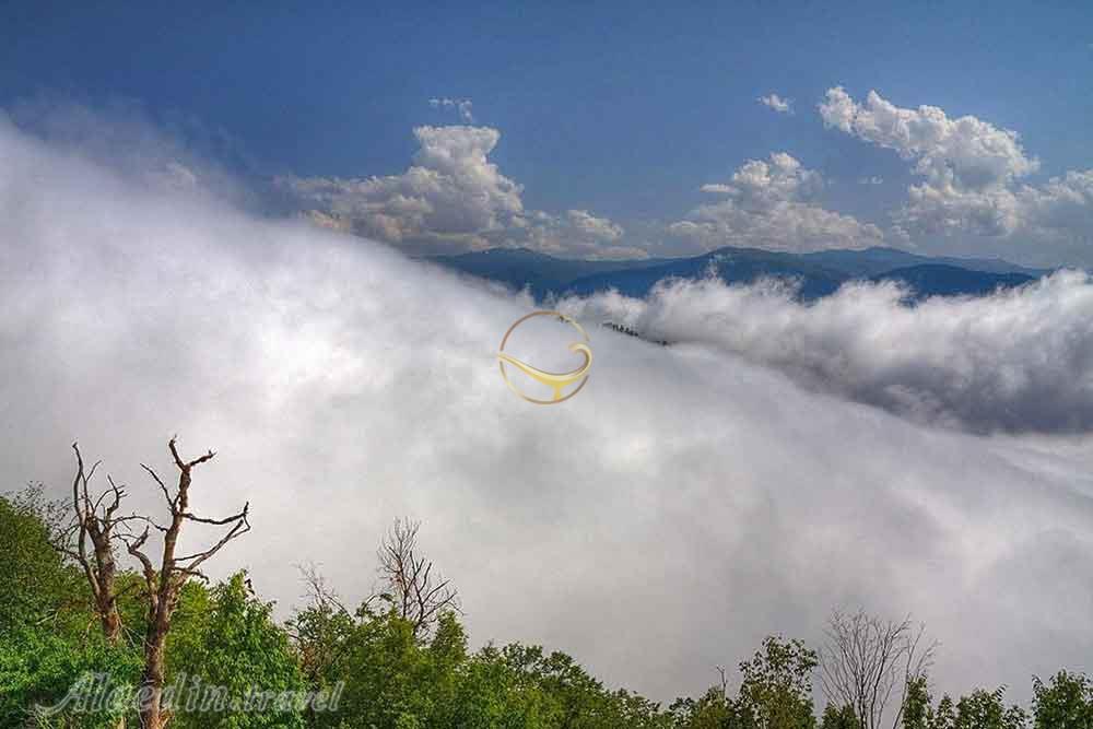 تور اکوسافاری جنگلی؛ صدای پای آب | علاءالدین