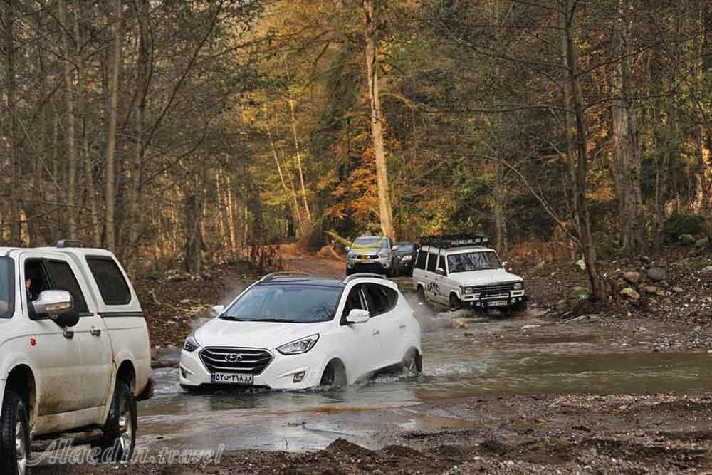 تور اکوسافاری جنگلی؛ صدای پای آب | علاءالدین