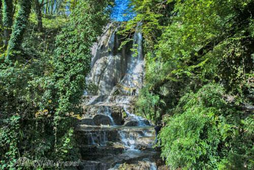 تور اکوسافاری جنگلی؛ صدای پای آب | علاءالدین