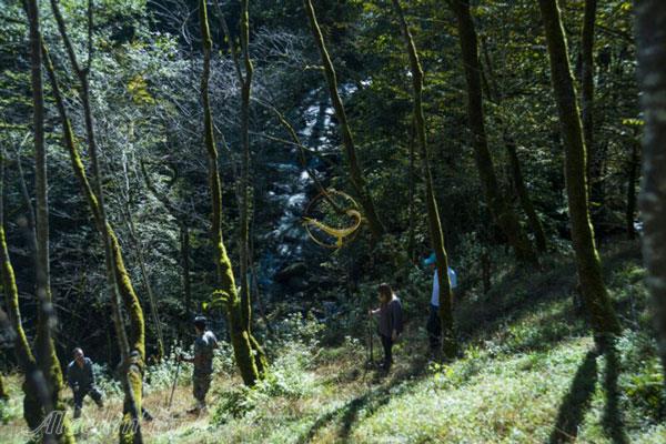 تور اکوسافاری جنگلی؛ صدای پای آب | علاءالدین