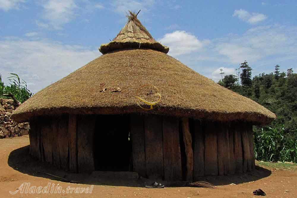 تور اتیوپی | علاءالدین تراول