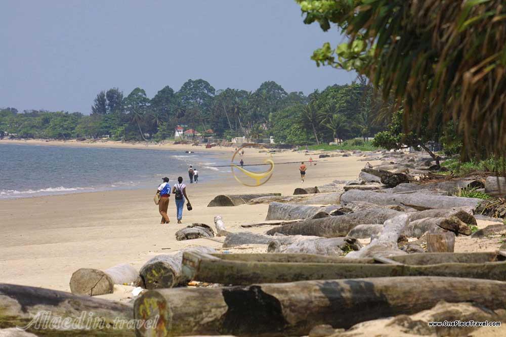 تور گابن | علاءالدین تراول