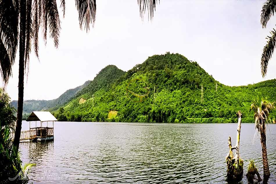 تور غنا | علاءالدین تراول