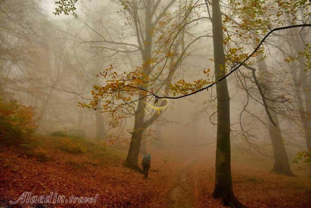 ناهارخوران گرگان در تور گلستان بندر ترکمن خالد نبی | علاءالدین تراول