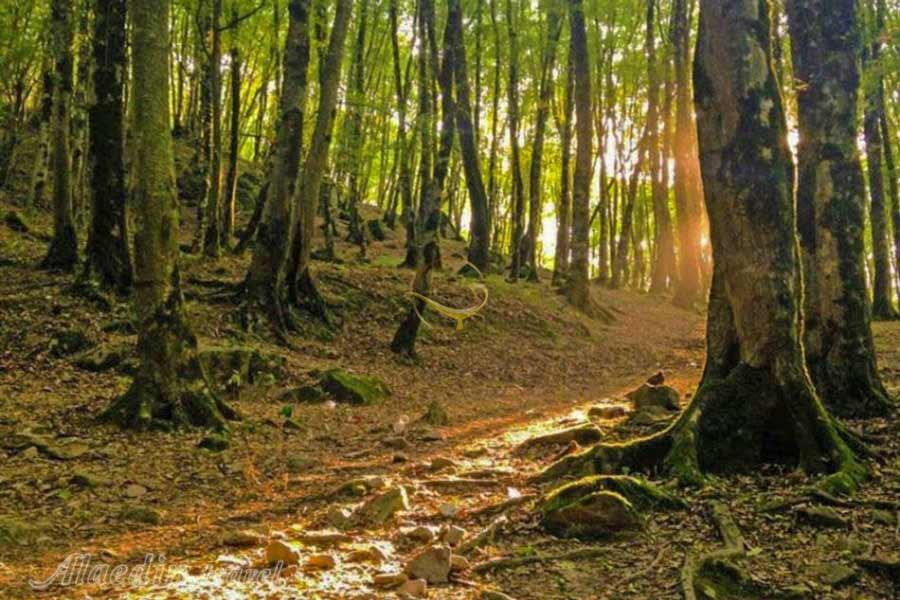 ناهارخوران گرگان در تور گلستان بندر ترکمن خالد نبی | علاءالدین تراول