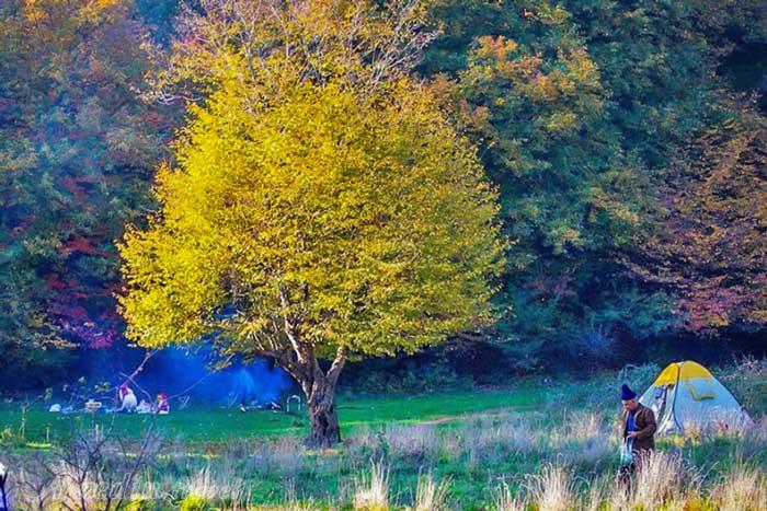 پارک جنگلی النگ دره در تور گلستان بندر ترکمن خالد نبی | علاءالدین تراول