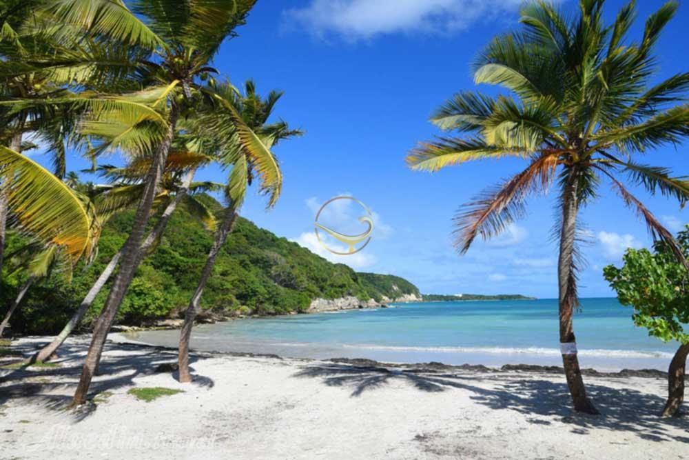 تور گوادلوپ کارائیب | علاءالدین تراول