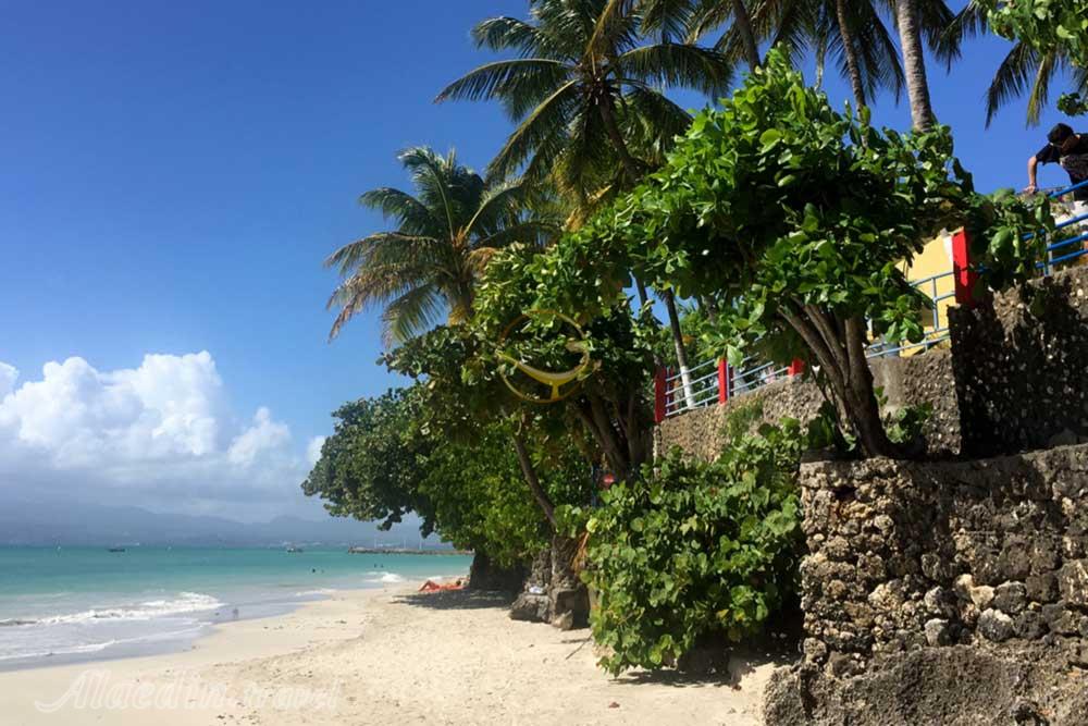 تور گوادلوپ کارائیب | علاءالدین تراول