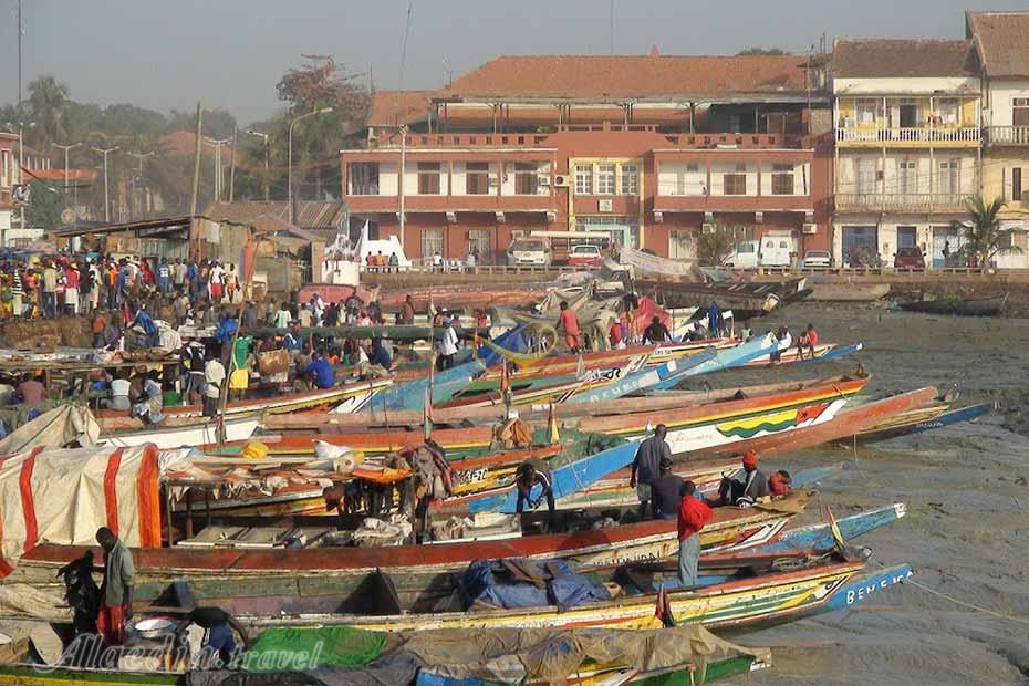 تور گینه بیسائو | علاءالدین تراول