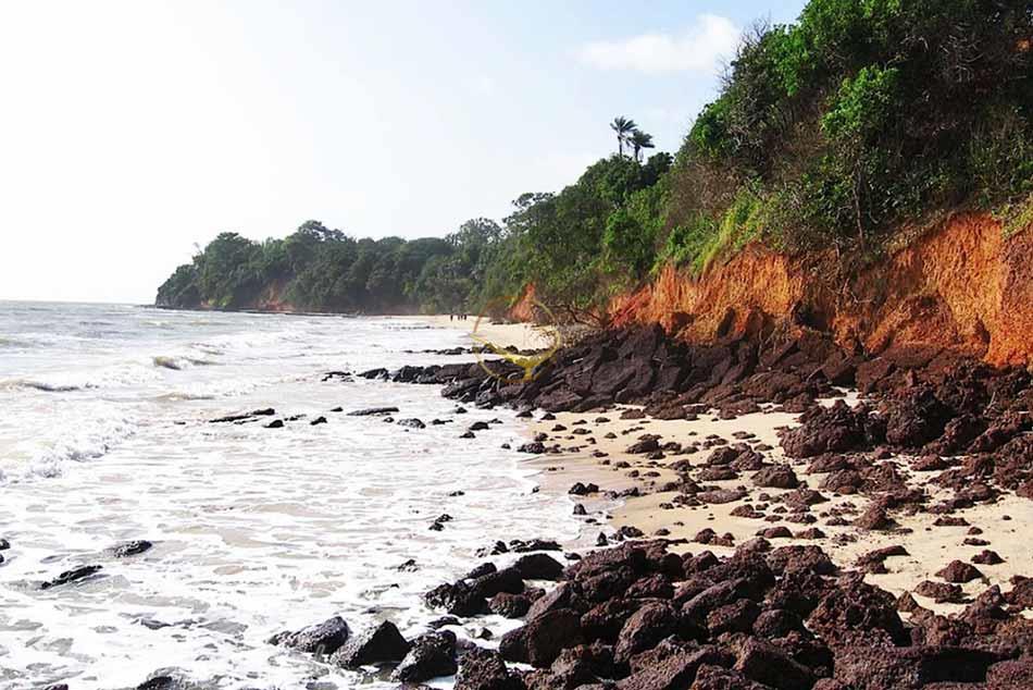 تور گینه بیسائو | علاءالدین تراول