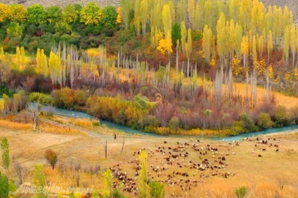 تور هرانده یک روزه