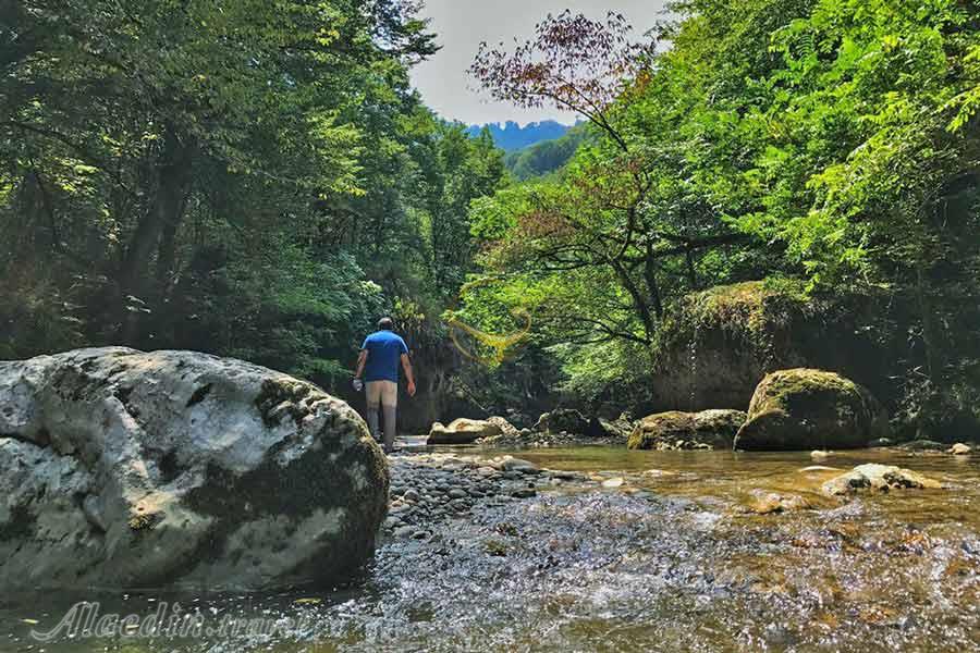 تور کسیلیان | علاءالدین تراول