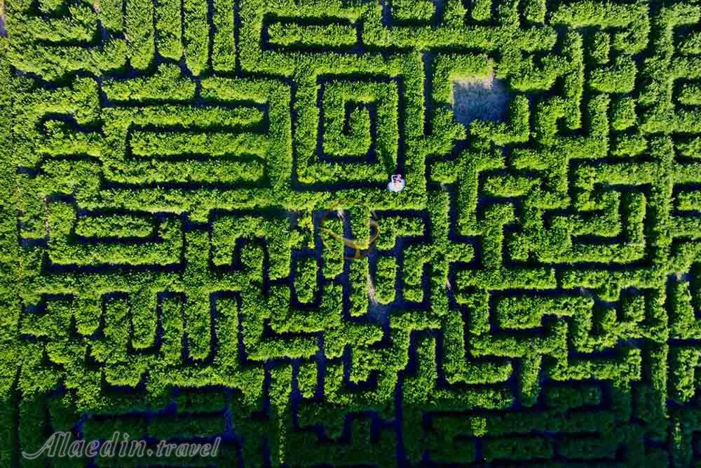 تور لاهیجان | علاءالدین تراول