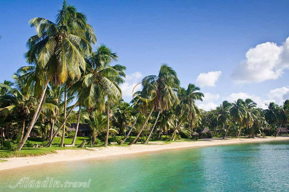 تور ماداگاسکار | علاءالدین تراول