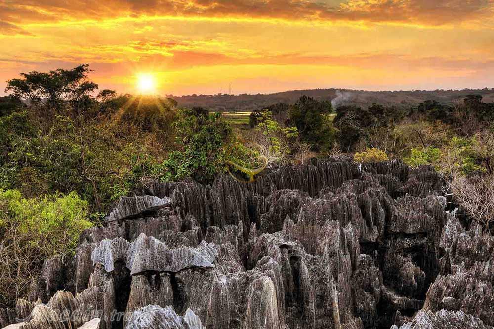 تور ماداگاسکار | علاءالدین تراول