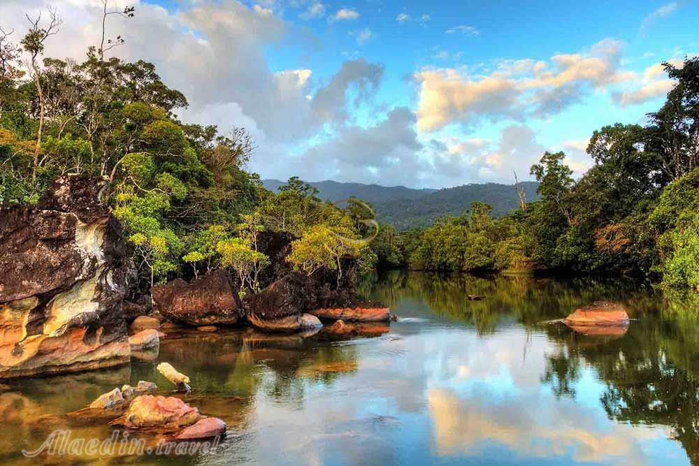 تور ماداگاسکار | علاءالدین تراول