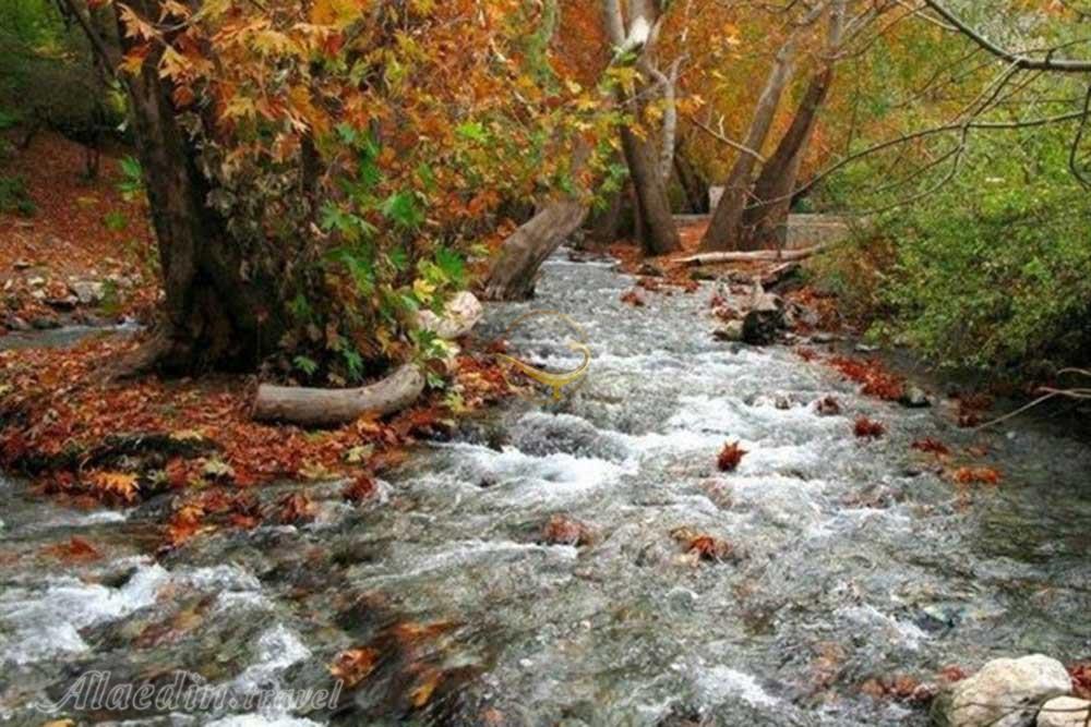 تور ملایر نهاوند تویسرکان | علاءالدین تراول