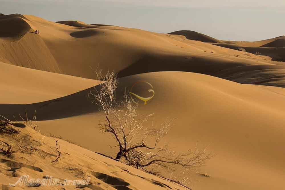 تور کویر مرنجاب کاشان یک روزه