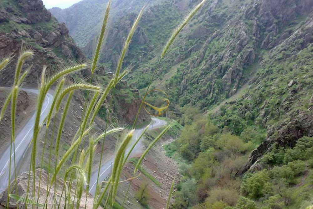 تور مریوان سلیمانیه عراق | علاءالدین تراول