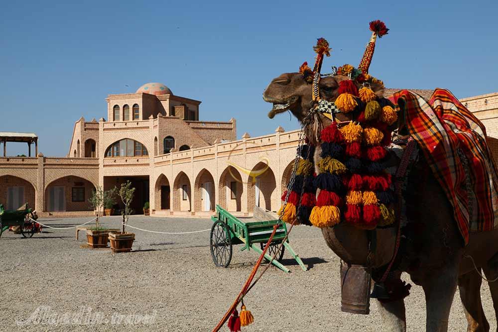 تور کویر متین آباد یک روزه | علاءالدین تراول