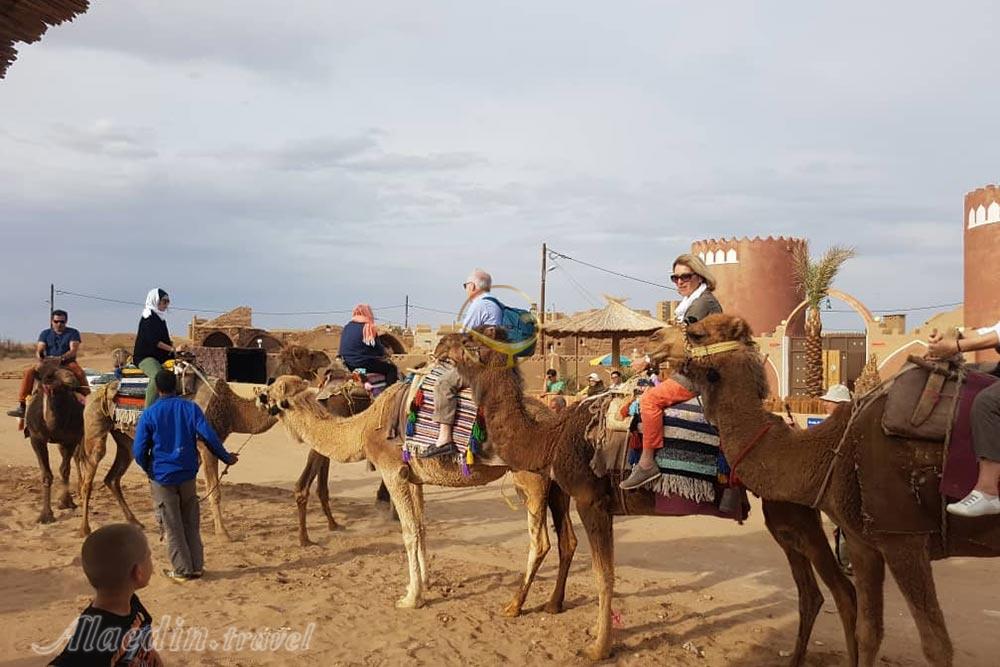عکس های تور کویر مصر