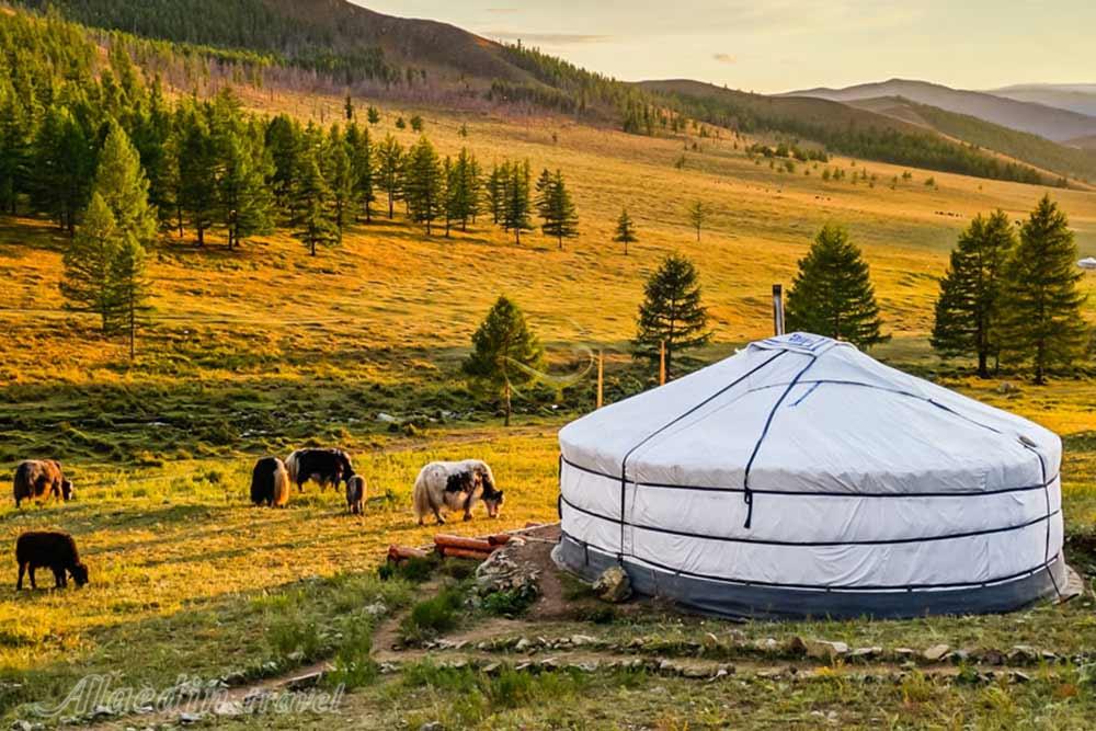 طبیعت مغولستان | علاءالدین تراول