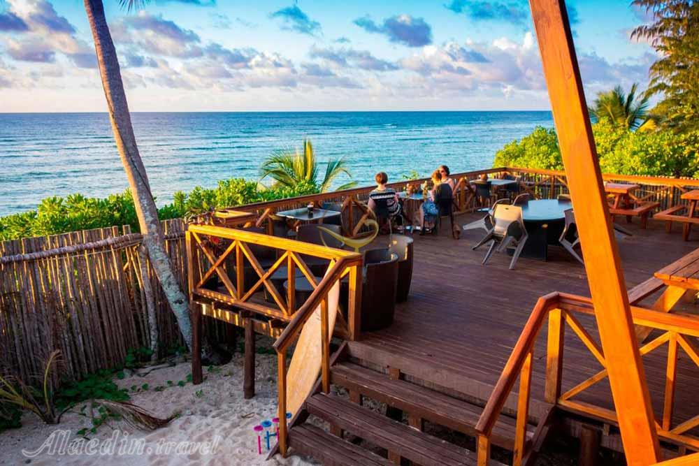 تور نائورو | علاءالدین تراول