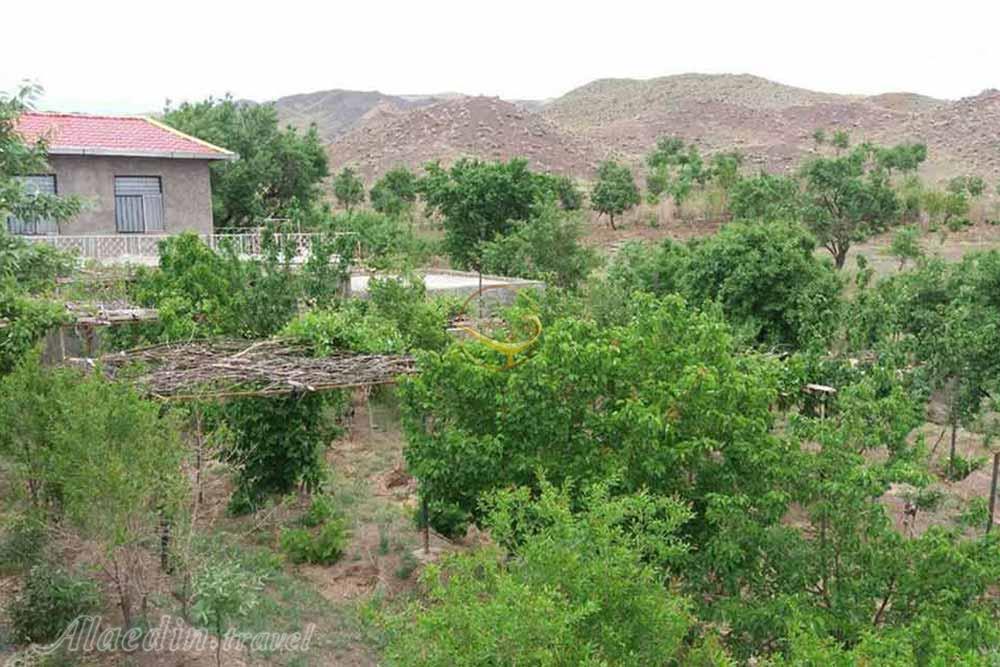 تور نیشابور سبزوار | علاءالدین تراول