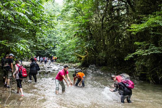 تور پلنگ دره؛ گذر از خیس خیال | علاءالدین تراول