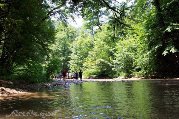 تور پلنگ دره؛ گذر از خیس خیال | علاءالدین تراول