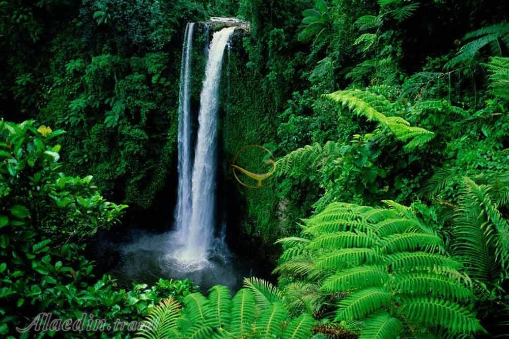 تور ساموآ | علاءالدین تراول