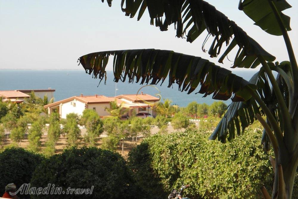 تور شهر سوخته تا درک | علاءالدین تراول