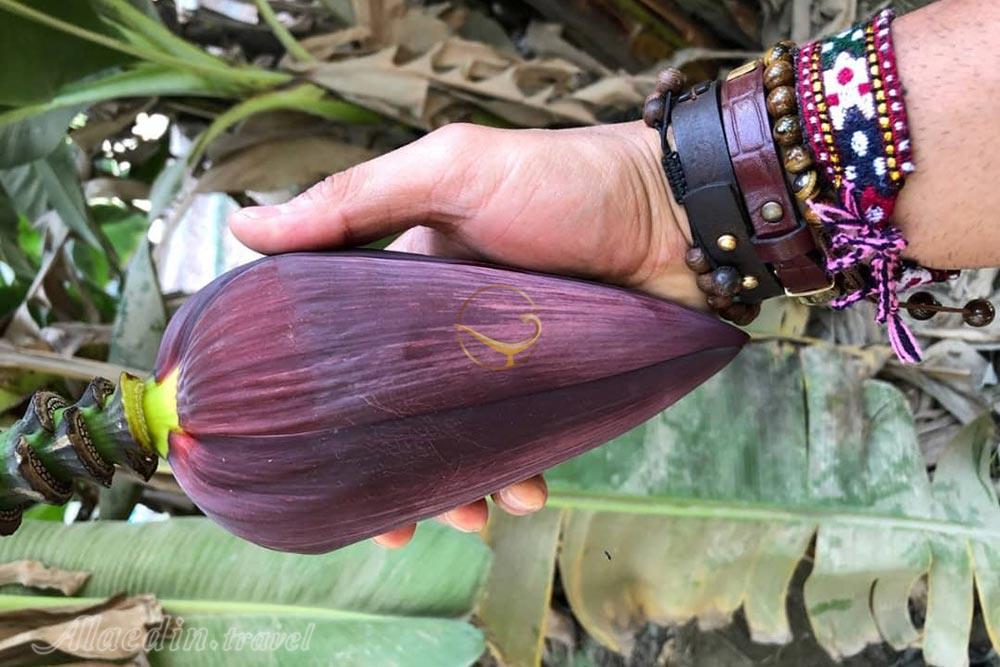 تور شهر سوخته تا درک | علاءالدین تراول