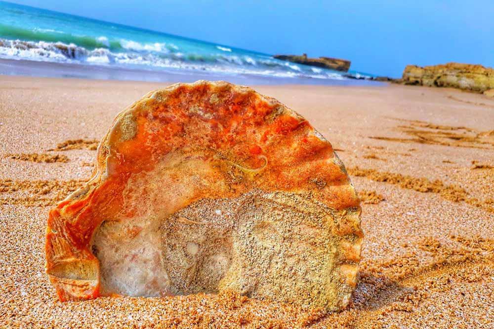 تور شهر سوخته تا درک | علاءالدین تراول