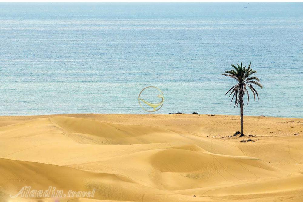 تور شهر سوخته تا درک | علاءالدین تراول