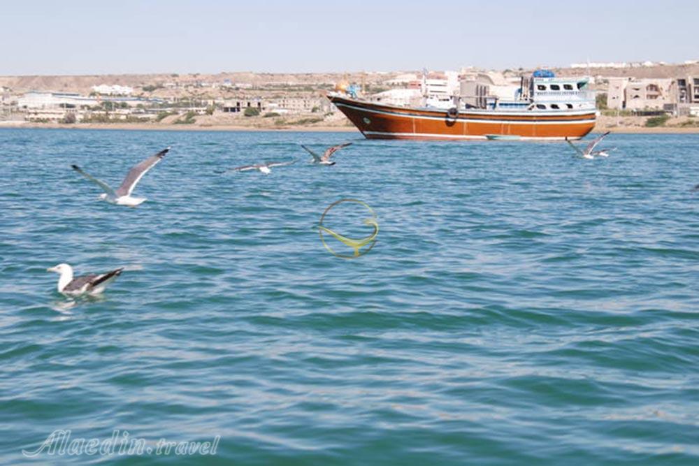 تور شهر سوخته تا درک | علاءالدین تراول