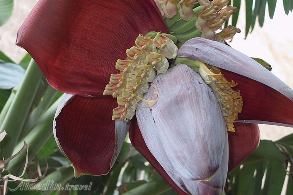 تور شهر سوخته تا درک | علاءالدین تراول