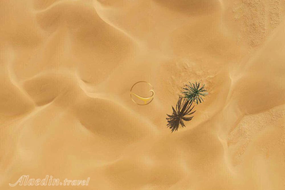 تور شهر سوخته تا درک | علاءالدین تراول