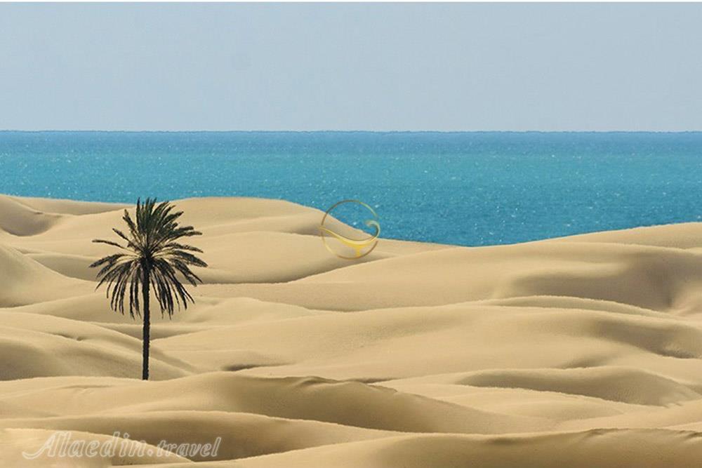 تور شهر سوخته تا درک | علاءالدین تراول