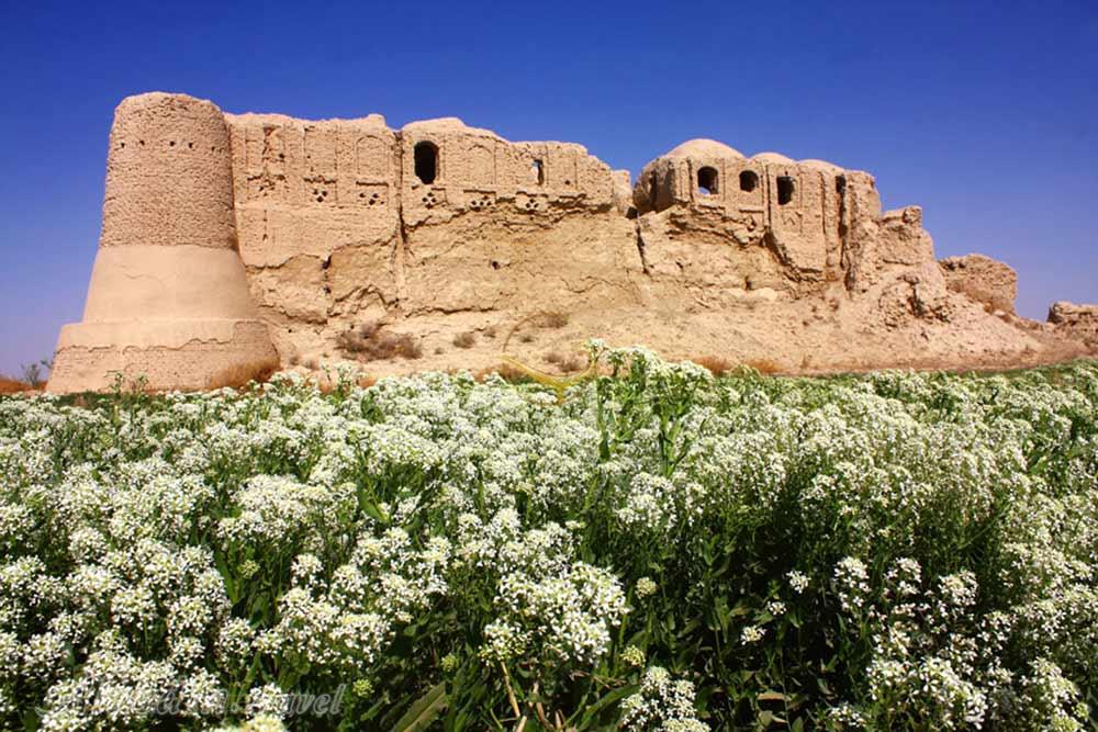 تور شهر سوخته سیستان | علاءالدین تراول