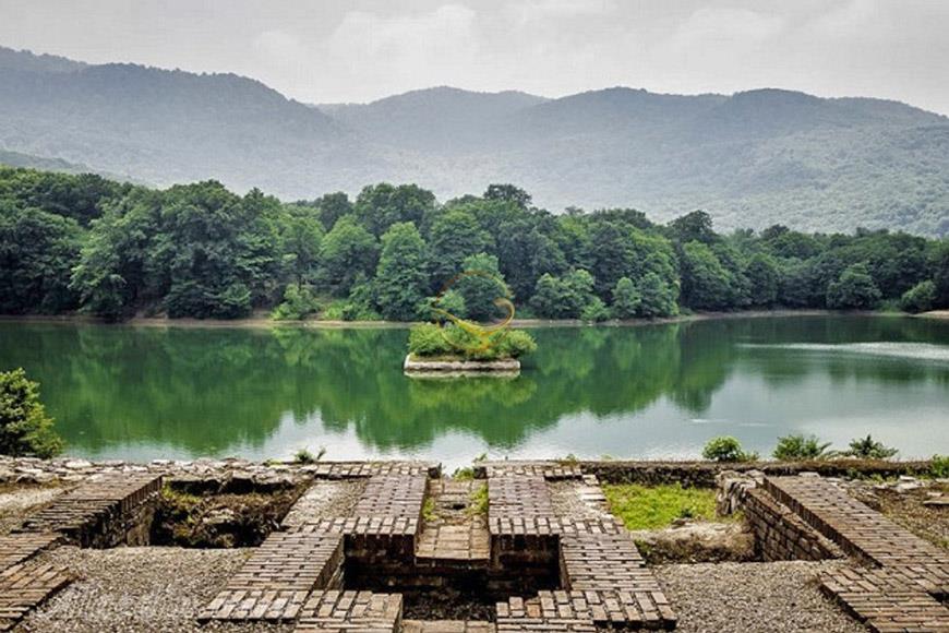 جنگل عباس آباد بهشهر | علاءالدین تراول