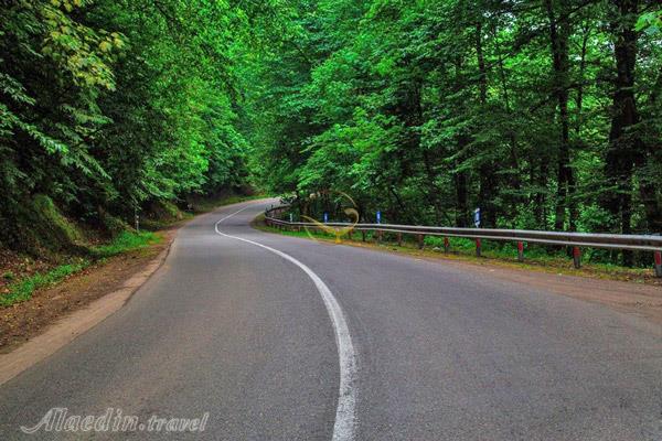 جنگل عباس آباد بهشهر | علاءالدین تراول