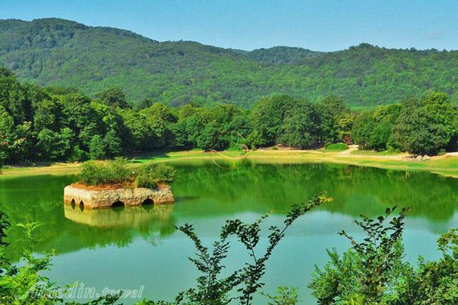 جنگل عباس آباد بهشهر | علاءالدین تراول