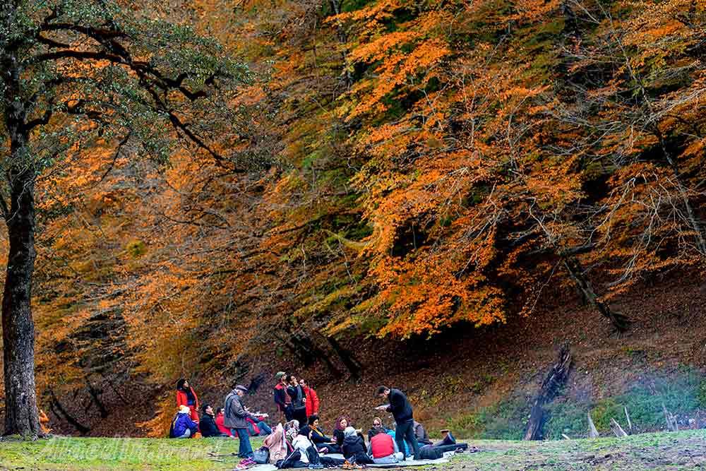 همسفران باداب سورت | علاءالدین تراول