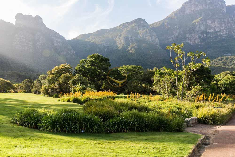 باغ گیاه شناسی کیرستنبوش کیپ تاون | علاءالدین تراول