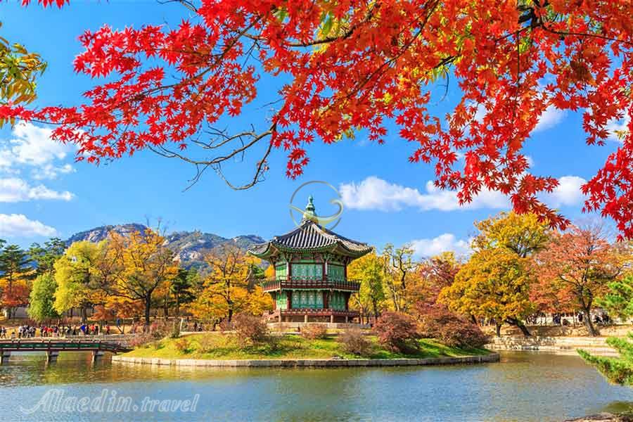 تور کره جنوبی | علاءالدین تراول