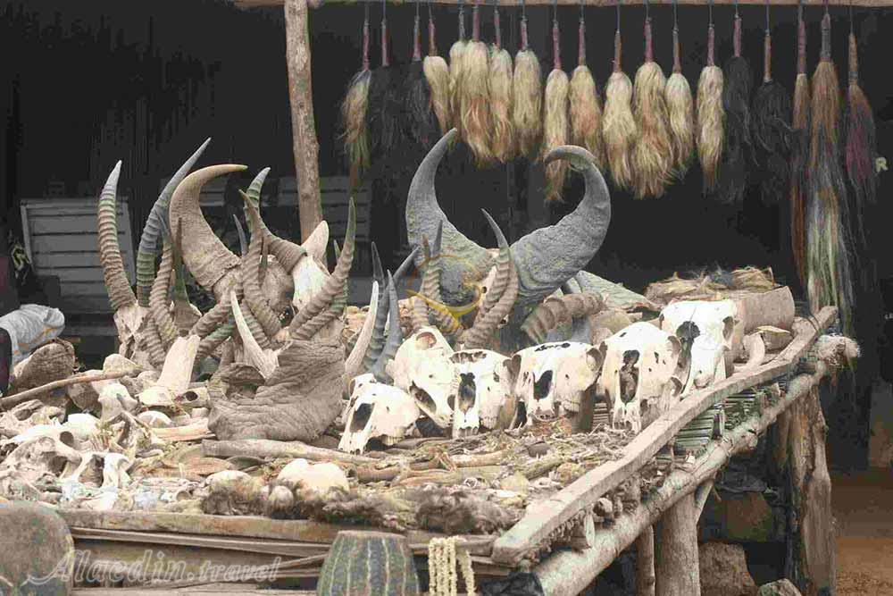 تور توگو | علاءالدین تراول