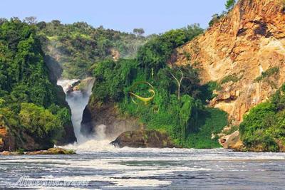 تور اوگاندا